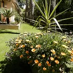 Mediterraneo