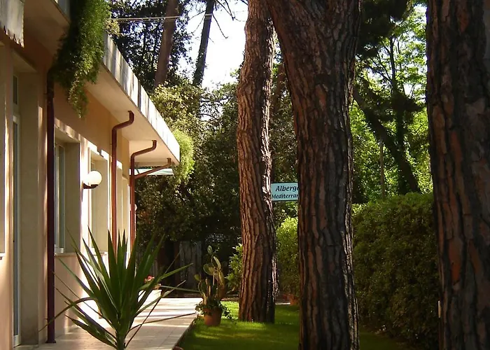 Hotel Mediterraneo Marina di Pietrasanta